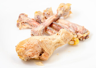 chicken leg bone isolated white. hen bone.