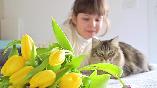 Laughing Little girl with a bouquet of bright tulips and a fluffy cat. Flowers for mom on Women's Day on March 8 or Mother's. Day Gift for mom. Child and cat. FullHD footage