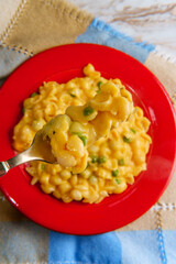 Shell Macaroni and Cheese