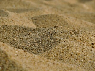 sand on the beach