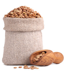 Lentils isolated on white background