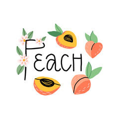 Cute hand-drawn peach fruit with lettering with tree blossoms and various fruit pieces. Cartoon isolated illustration.