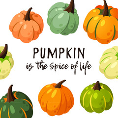 Cartoon Pumpkin Spice Season Image with Text. Hand drawn stylish vegetable. Vector drawing fresh organic food and Quote. Summer illustration vegan ingrediens for smoothies or Pie