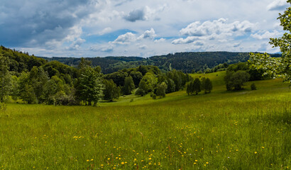 Big glade full of grass and trees around in Rudawy Janowickie mountains