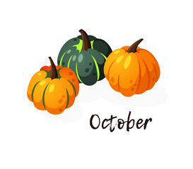 Cartoon Pumpkin Spice Season Image with Text. Hand drawn stylish vegetable. Vector drawing fresh organic food and Quote. Summer illustration vegan ingrediens for smoothies or Pie