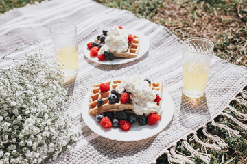 summer picnic with lemonade in glasses, flowers, belgian waffles with raspberry and blueberry and cream