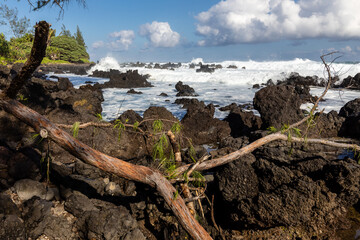 Fototapeta na wymiar Heavy surf crashes onto Kawee Point near the Leanae Lookout along the road to Hana, Maui, Hawaii 