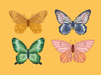 four beautiful butterflies