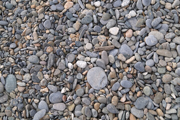 Dry, small pebbles from the rocks on the beach. Top view. The pattern. Macrophotography