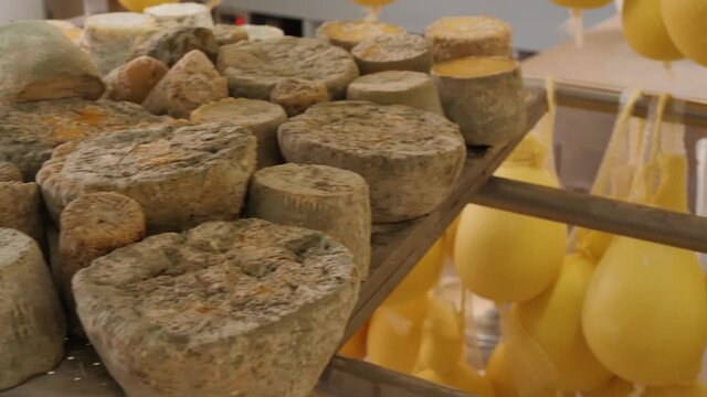 Cheese Dairy Factory Pan From Caciocavallo To Very Aged Cheese Heads In Italy