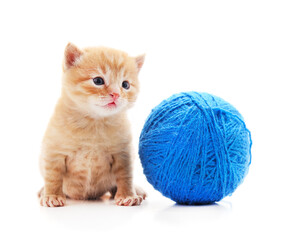 Red kitten with a ball.