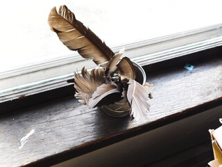 feather pot
