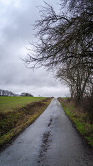 Fototapeta na wymiar Country road in landscape with cloudy sky 