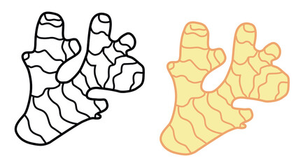 Drawing of a useful ginger root plant for logos and icons