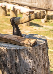 Vintage ax sticks out in a tree stump in a rural yard