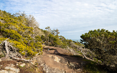 Fototapeta na wymiar hiking trail on the rocky coast of the Salish Sea
