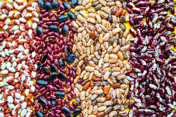 Different varieties of beans on a yellow background. A background of many beans. Legumes. Stripes.