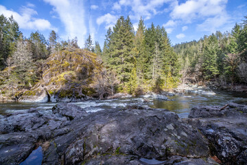 mountain river in the forest