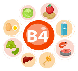 Vitamin B4 nutrition infographic with medical and food icons diet, healthy food and wellbeing concept.