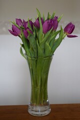 bouquet of purple tulips in vase on table