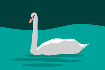 swan on blue water, vector illustration for greeting card