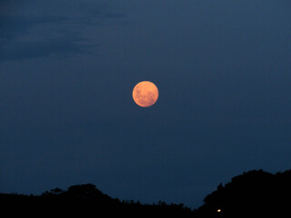 moon in the night