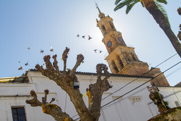 Iglesia de Santa Maria de la Encarnacion en el pueblo de Constantina, en Cazalla de la Sierra, Sevilla, Andalucia, España