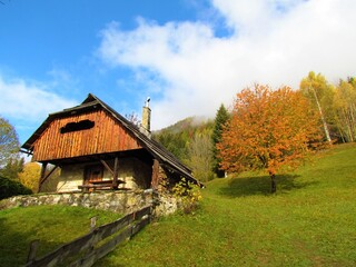 Plakat Beautiful traditional house built of stone and wood on meadow and cherry tree next to it in colorful orange and yellow autumn foliage in Slovenia