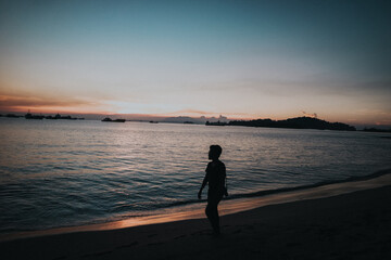 person walking on the beach at sunset