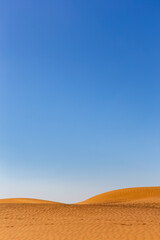 Fototapeta na wymiar Simple minimalist desert landscape with golden sand dunes, low horizon, crystal blue sky, copy space, background.