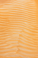 Sand dune texture close-up view, with wave pattern formed by the wind, Dubai, United Arab Emirates, portrait view.