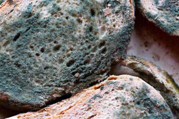 Profuse mold on the slices of bread lying on the table. Made in natural light.