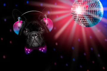dog listening to music having a party
