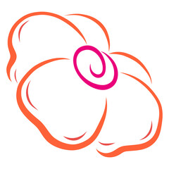 flower with large orange petals and a spiral center