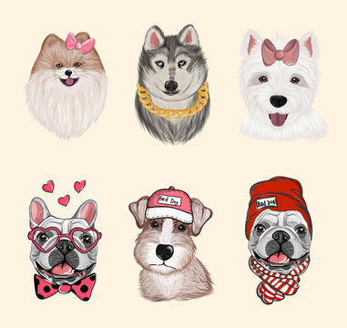 Dogs cartoon heads face emoticons for t shirts design, logo, banners vector set. Collection Different Breeds of Canines, Isolated.