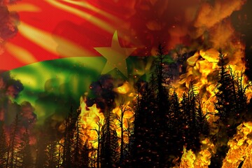 Big forest fire fight concept, natural disaster - flaming fire in the trees on Burkina Faso flag background - 3D illustration of nature