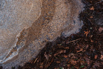 Dirty foam on the river water surface