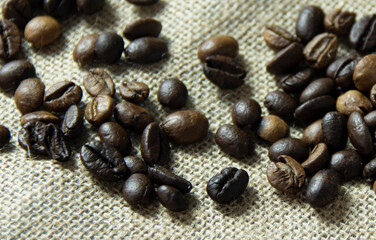 fresh roasted coffee beans in burlap sack