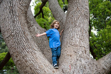 Children kid playing climbing to a tree in a park outdoor.