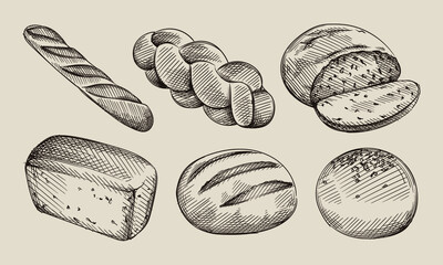 Hand drawn sketch set of bread types. Burger bun, white sandwich bread, baggel, Multigrain bread, challah, ciabatta	
