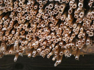 Recently made thatched roof, thatch on the roof closeup