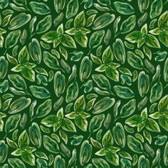 Naklejka na ściany i meble A nuanced seamless pattern with basil leaves. Watercolor illustration. Mediterranean cuisine, condiments. For wrapping paper, gifts, invitations and cards.