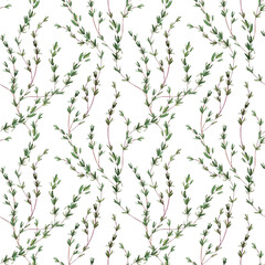 Seamless pattern with watercolor thyme branches. Mediterranean condiments. For wrapping paper, invitations, cards, textiles, wallpaper, backgrounds. Minimalism
