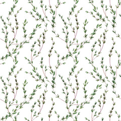 Seamless pattern with watercolor thyme branches. Mediterranean condiments. For wrapping paper, invitations, cards, textiles, wallpaper, backgrounds. Minimalism