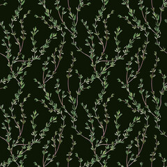 Seamless pattern with watercolor thyme branches. Mediterranean condiments. For wrapping paper, invitations, cards, textiles, wallpaper, backgrounds. Minimalism