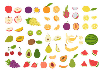 Large set of natural fresh tropical and citrus fruits in hand drawn style. Whole and cut into halves and parts. Vegan, vegetarian food. Organic food and healthy eating. Collection vector illustration