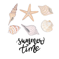 Hand drawn vector illustrations - collection of seashells. Marine set.