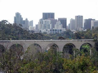 bridge over the river