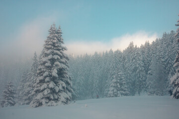 Fototapeta na wymiar paysage enneigée de haute montagne en hiver avec une brume matinale
