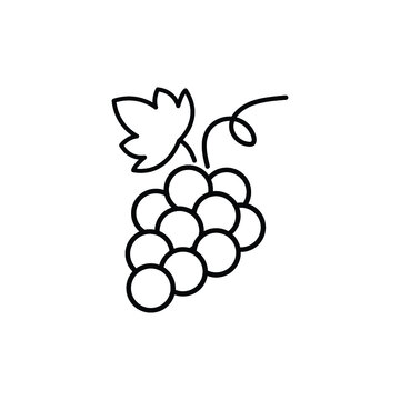 grapes fruit icon illustration